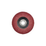 Disc lamelar abraziv 125mm   P100 Cod:  07987